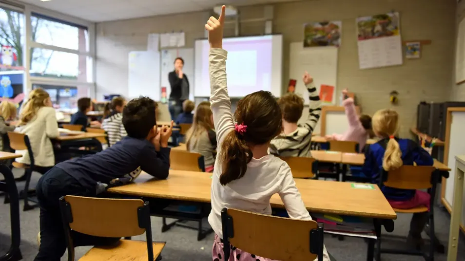 Nild Educational Therapy Strategies
