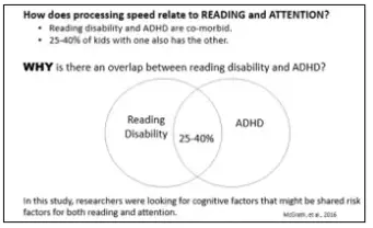 How does processing speed relate to reading and attention?